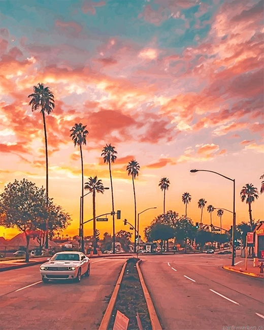 Los Angeles Palm Tree Sunset Cities Painting By Numbers.png