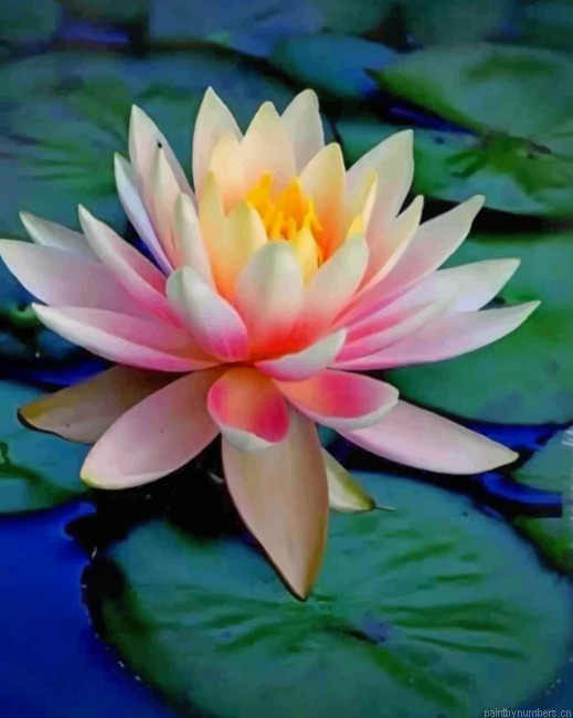 Lotus Flower Painting By Numberss.png
