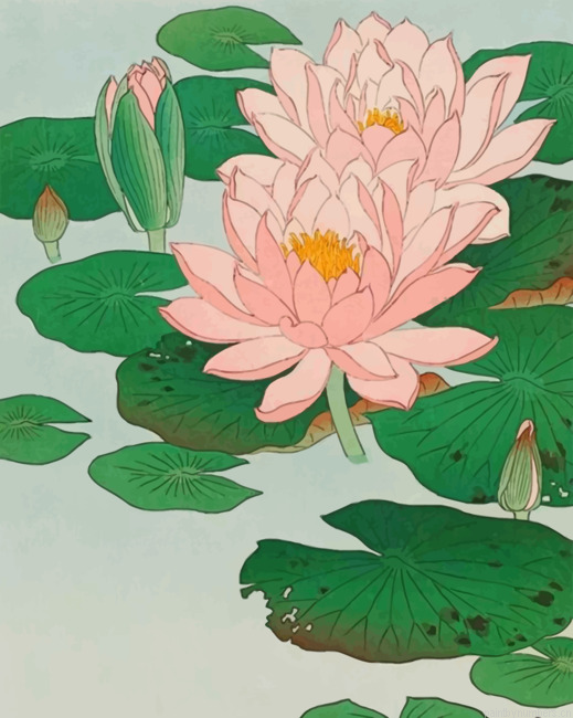 Lotus Flowers Painting By Numbers.png