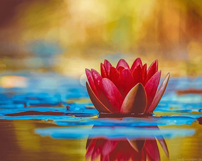 Lotus In The Water Plants Painting By Numberss.png