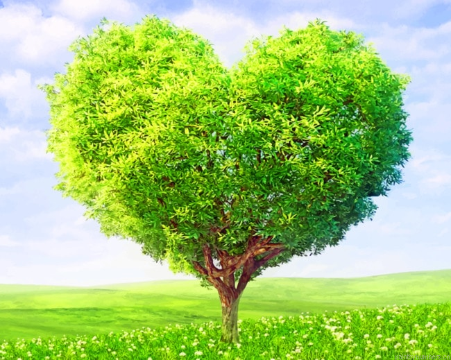 Love Heart Tree Painting By Numberss.png