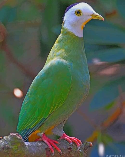 Lovebird Parrot Painting By Numberss.png