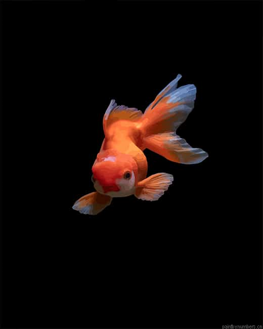 Lovely Golden Fish Painting By Numberss.png