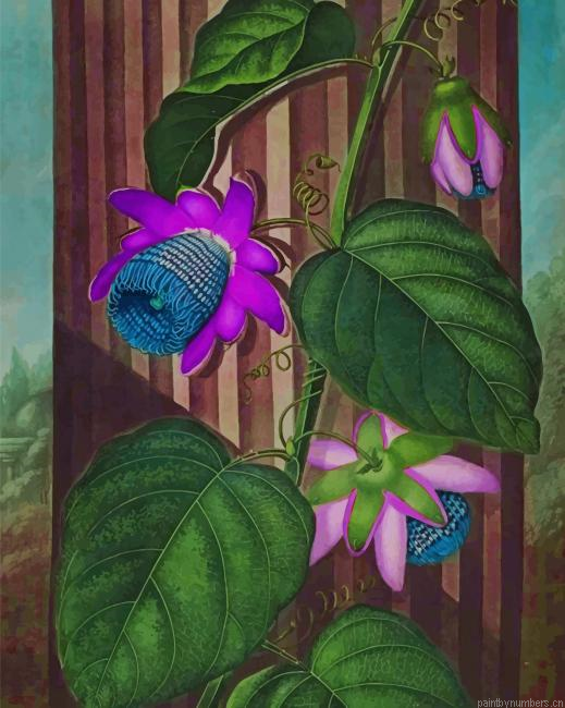 Lovely Purple Flower Painting By Numberss.png