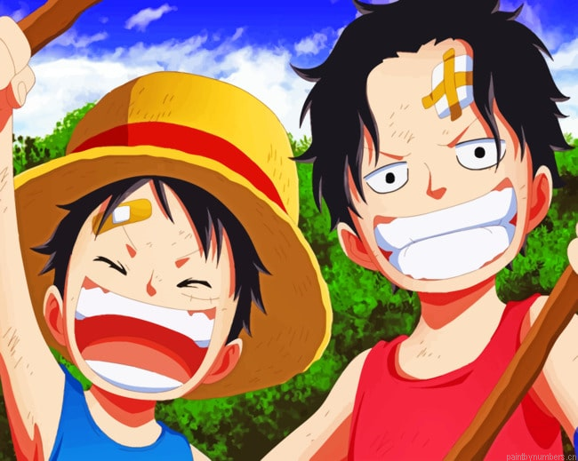 Luffy And Ace Animations Painting By Numbers.png
