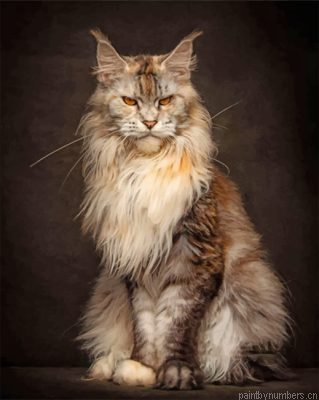 Maad Maine Coon Painting By Numbers.png