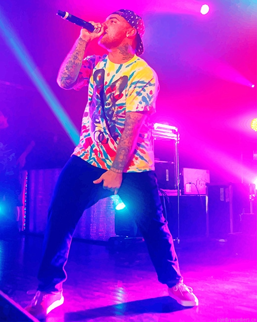 Mac Miller On Stage Rappers Painting By Numberss.png