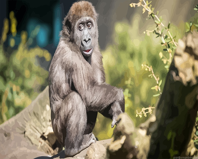 Macaque Monkey Animals Painting By Numberss.png