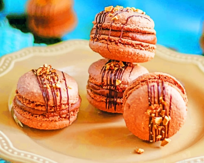 Macarons Dessert Cake Food Painting By Numberss.png