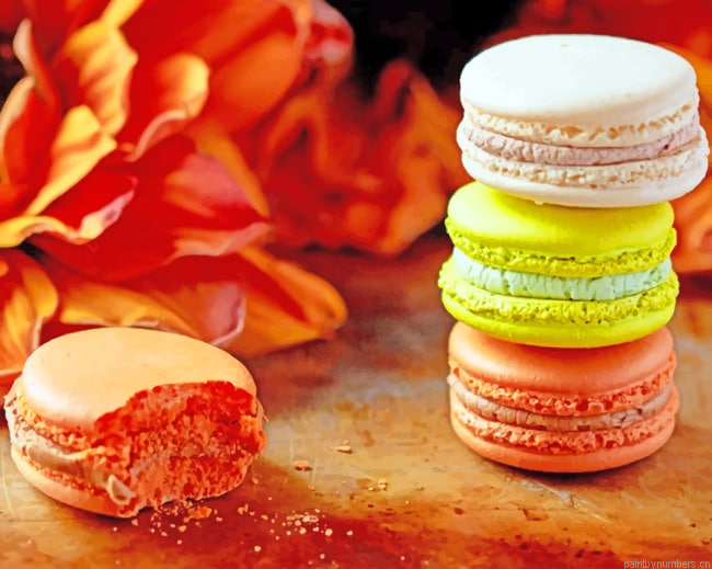 Macarons Dessert Cakes Food Painting By Numberss.png