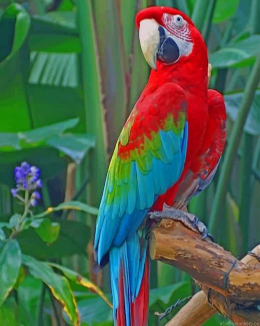 Macaw Parrot On Tree Birds Painting By Numberss.png