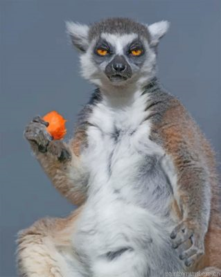 Mad Lemur Painting By Numbers.png