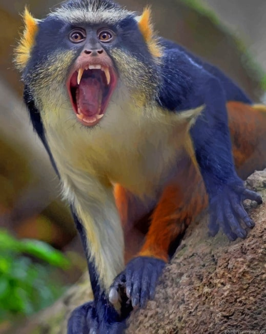 Mad Monkey Animals Painting By Numberss.png