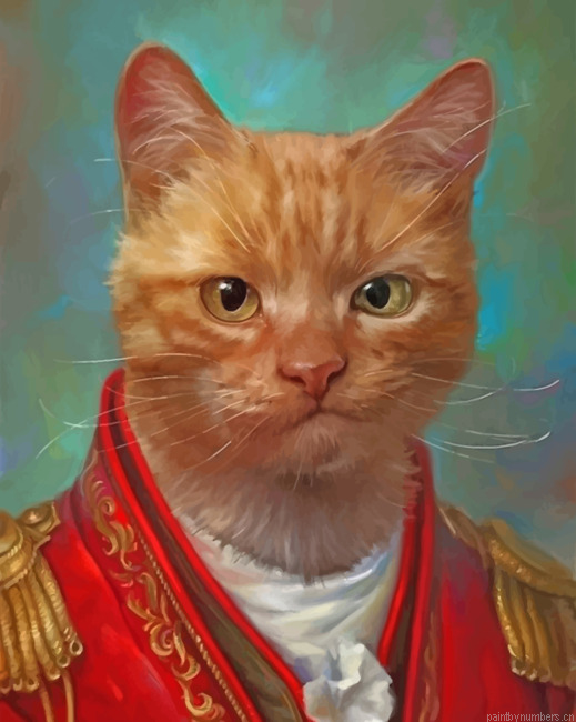 Mad Mr Cat Painting By Numbers.png