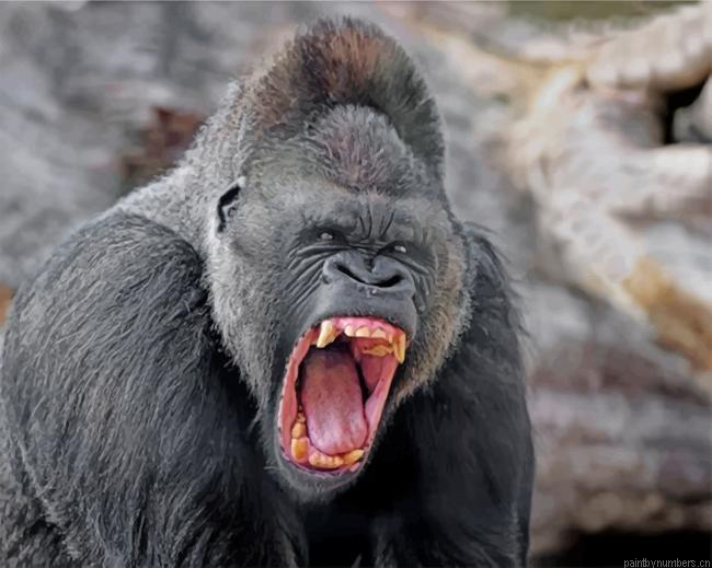 Mad Silverback Gorilla Painting By Numberss.png