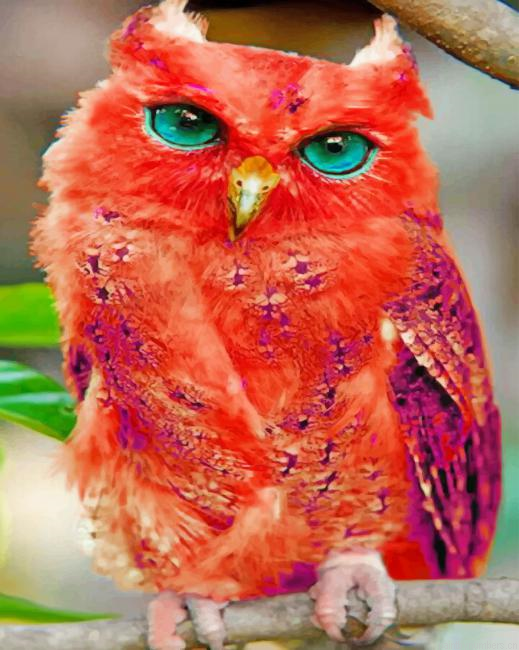 Madagascar Red Owl Birds Painting By Numbers.png