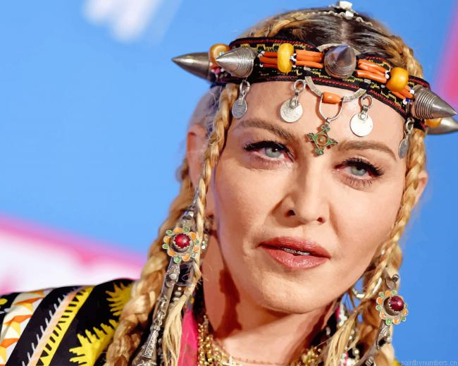 Madonna With Moroccan Accessories Singers Painting By Numberss.png