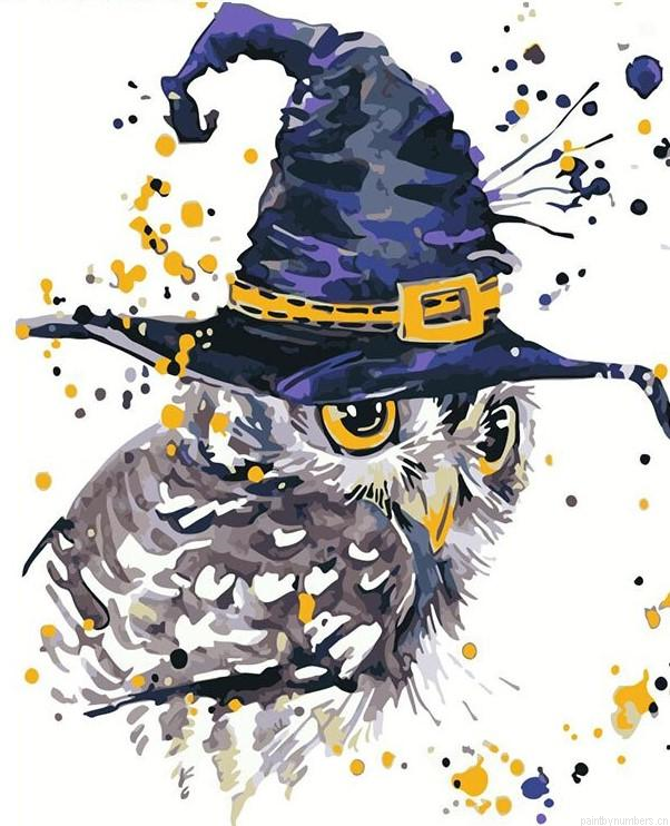 Magical Owl Birds Painting By Numbers.png