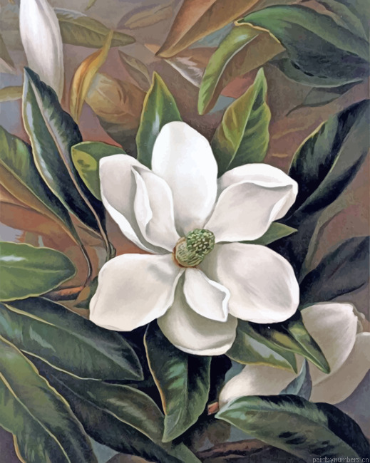 Magnolia Flower Painting By Numbers.png
