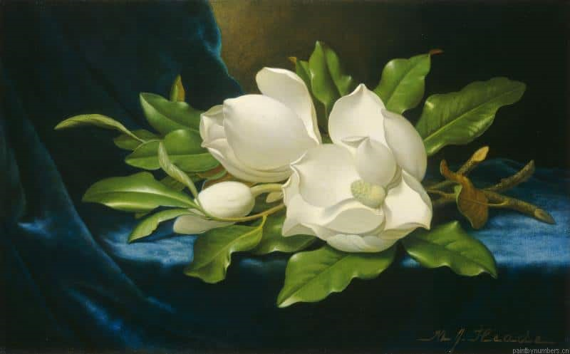 Magnolias On A Blue Velvet Cloth Painting By Numbers.png