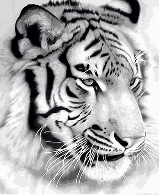 Majestic Tiger Animals Painting By Numbers.png