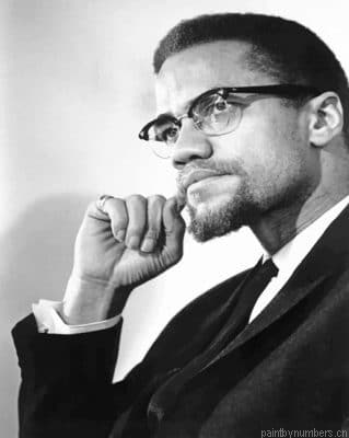 Malcolm X Black And White Painting By Numberss.png