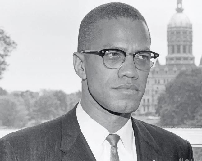 Malcolm X Painting By Numbers.png