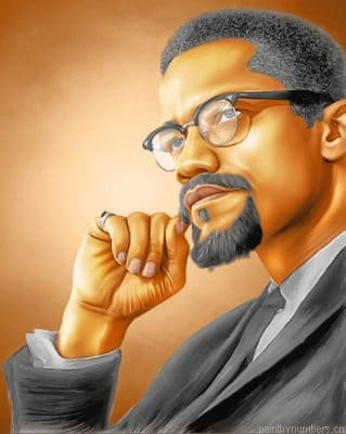 Malcolm X Painting By Numberss.png
