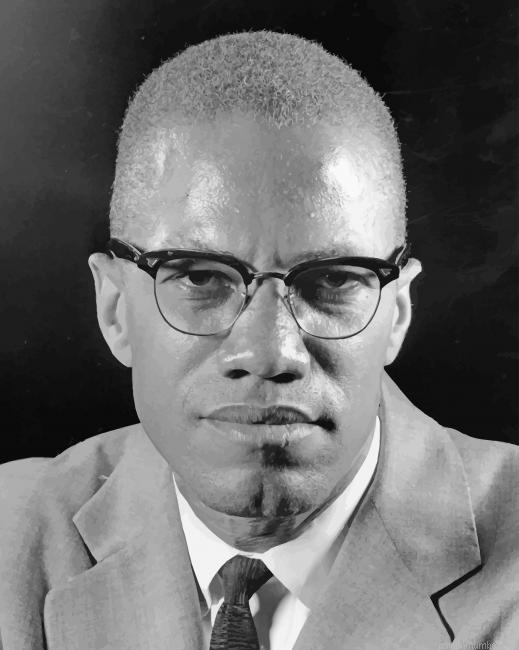 Malcolm X Portrait Painting By Numbers.png