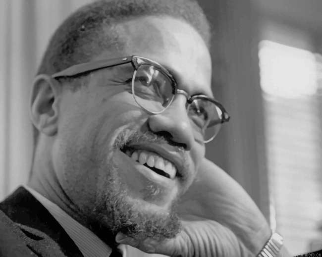 Malcom X American Minister Painting By Numberss.png