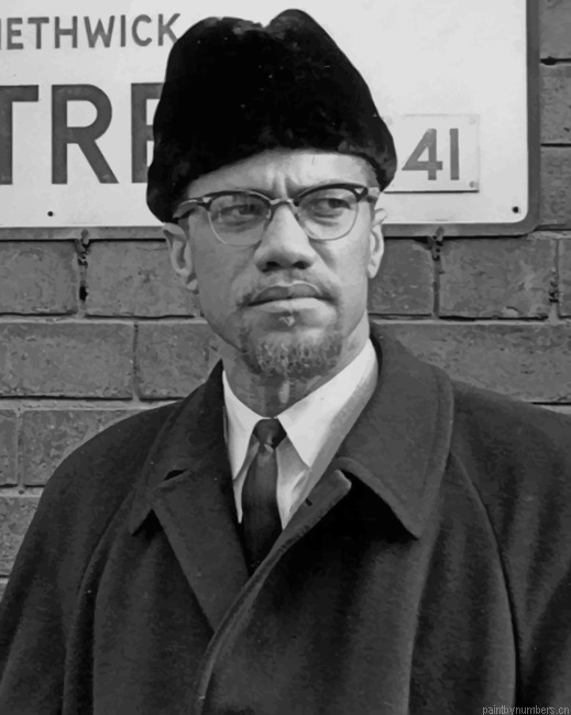 Malcom X In Black Suit Painting By Numberss.png