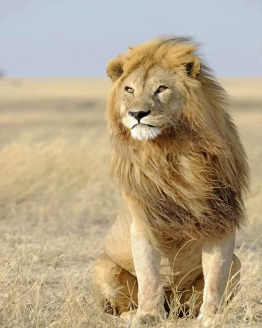 Male Lion In The Wild Animals Painting By Numberss.png