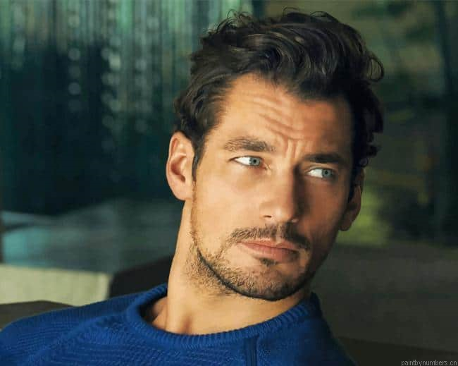 Male Model David Gandy Painting By Numberss.png