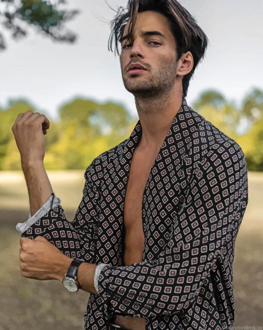 Male Model Photo Shoot Painting By Numberss.png