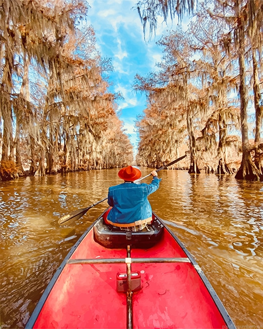 Man On Red Boat Traveling Painting By Numberss.png