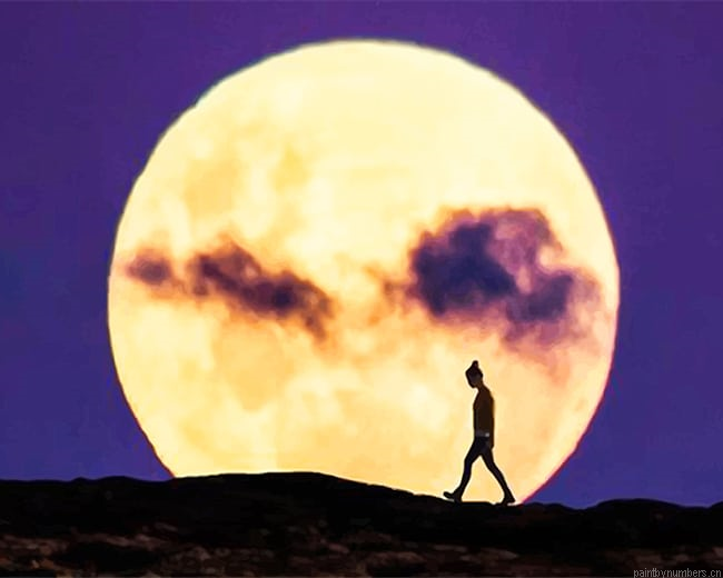 Man Walking Alone Silhouette Painting By Numberss.png
