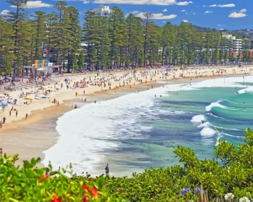 Manly Australia Painting By Numbers.png
