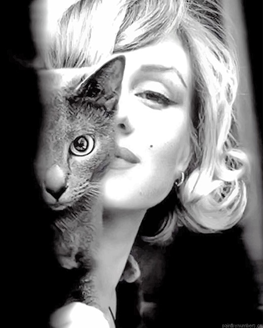 Marilyn Monroe With Her Cat Painting By Numberss.png