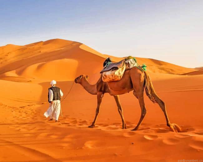 Maroccan Saharah Desert Painting By Numberss.png