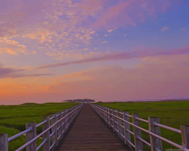 Marsh Boardwalk Landscapes Painting By Numberss.png