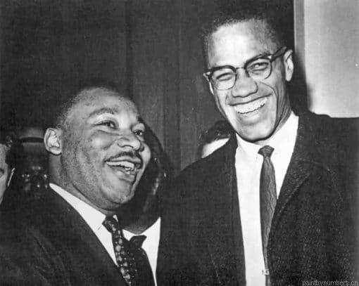 Martin Luther King And Malcolm X Painting By Numberss.png
