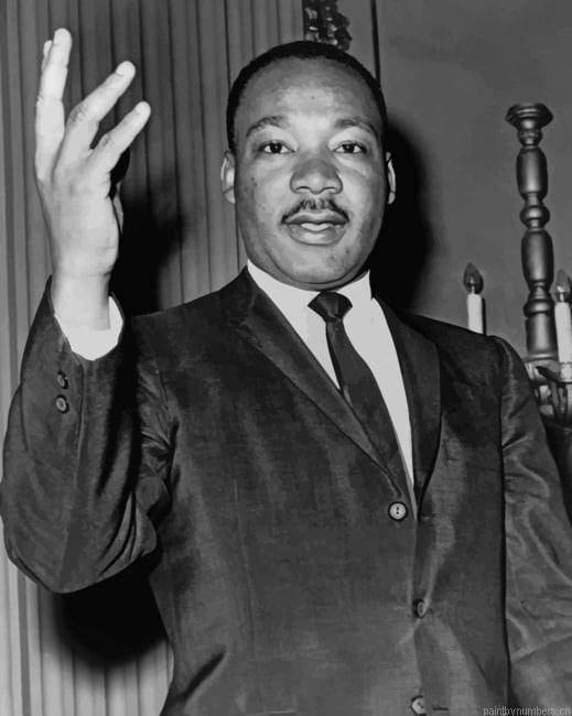 Martin Luther King Painting By Numberss.png