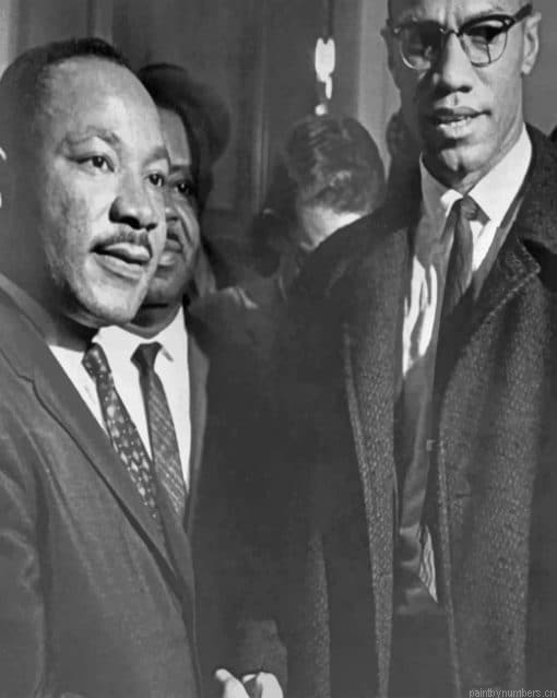 Martin Luther With Malcolm X Painting By Numberss.png