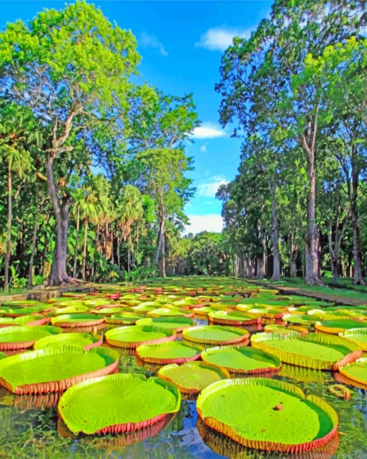 Mauritius North Island Tour Painting By Numbers.png