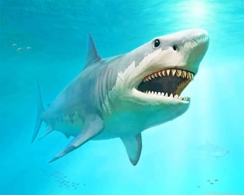 Megalodon Shark New Painting By Numbers.png