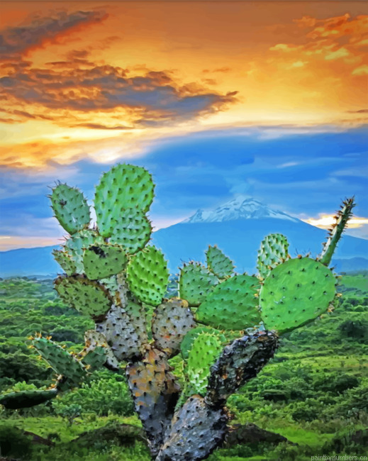Mexican Cactus Painting By Numberss.png