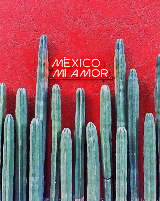 Mexico Mi Amor Painting By Numberss.png