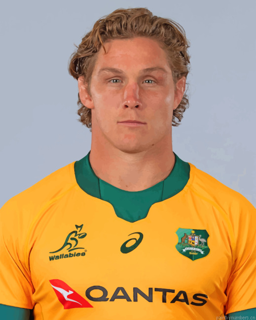 Michael Hooper Player Rugby Painting By Numberss.png