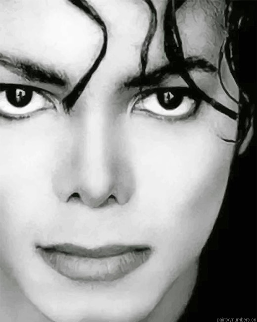 Michael Jackson Black And White Painting By Numberss.png