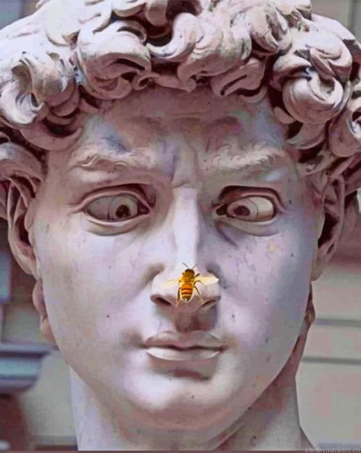 Michelangelo David Painting By Numberss.png